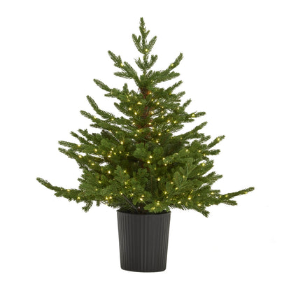 Green Forest Fir Pre - Lit Led 300L Christmas Tree In Pot - Darlington's Décor