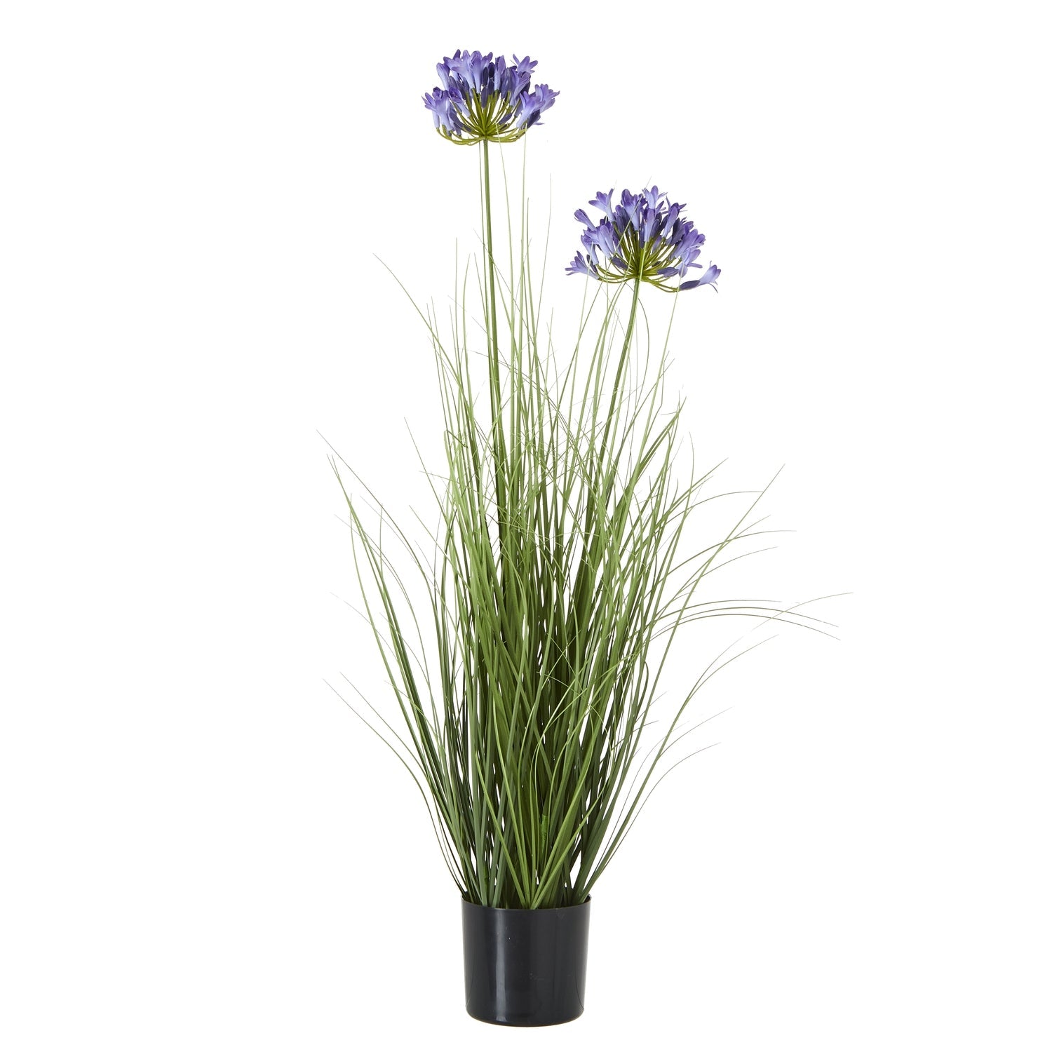 Lifelike Blue Agapanthus Plant In Pot for Elegant Decor - Darlington's Décor