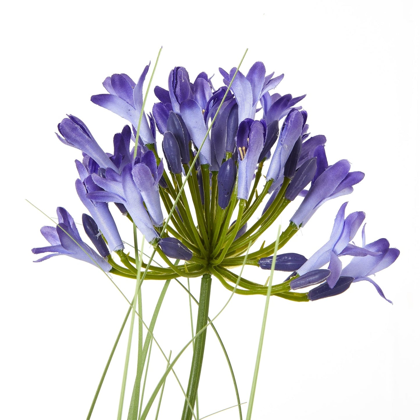 Lifelike Blue Agapanthus Plant In Pot for Elegant Decor - Darlington's Décor
