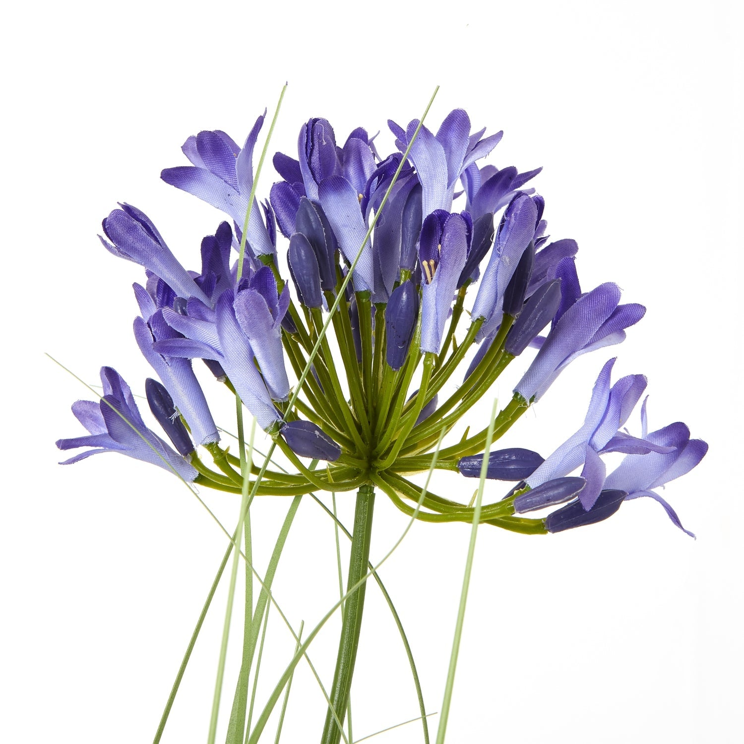 Lifelike Blue Agapanthus Plant In Pot for Elegant Decor - Darlington's Décor