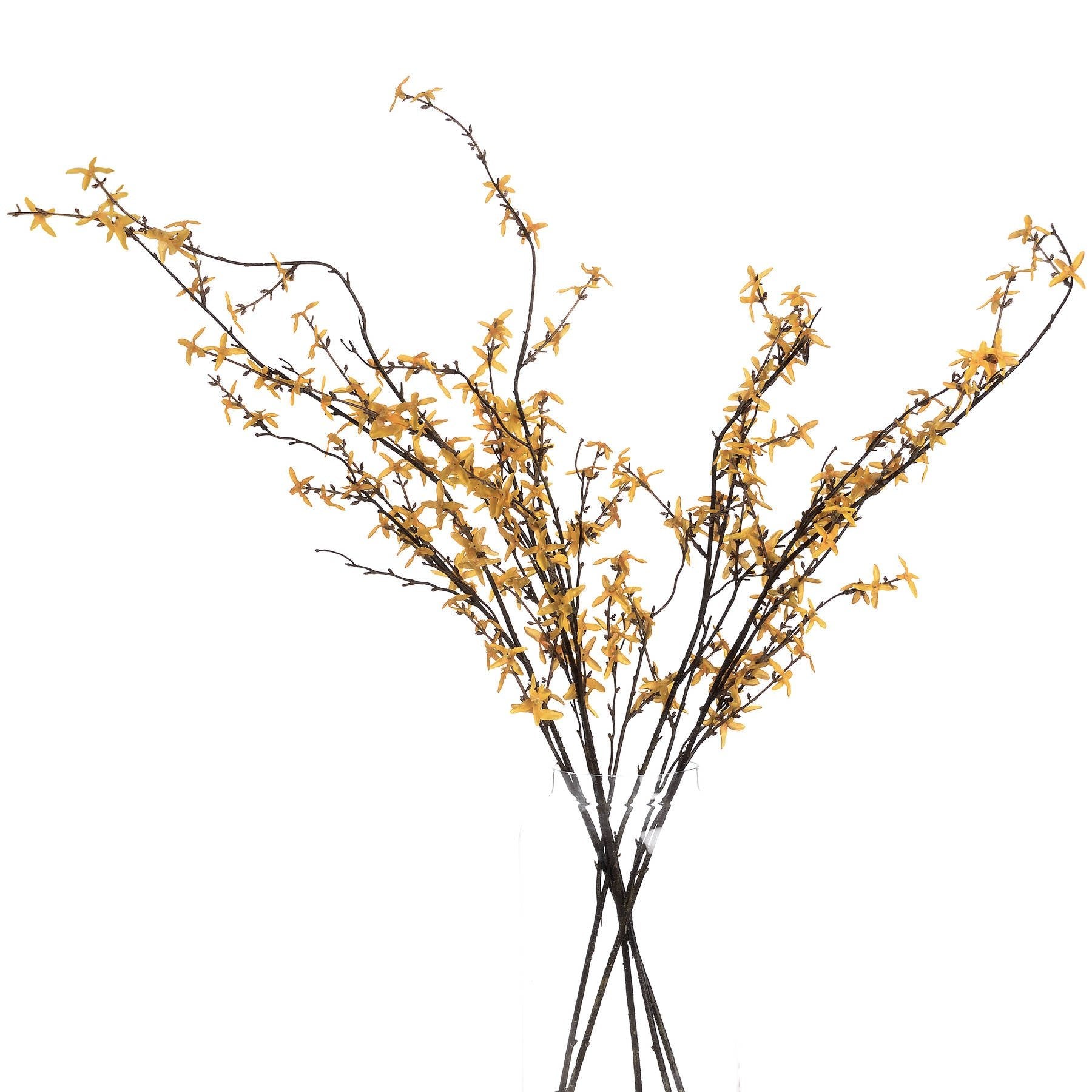 Lifelike Forsythia Branch for Year - Round Blooming Beauty - Darlington's Décor