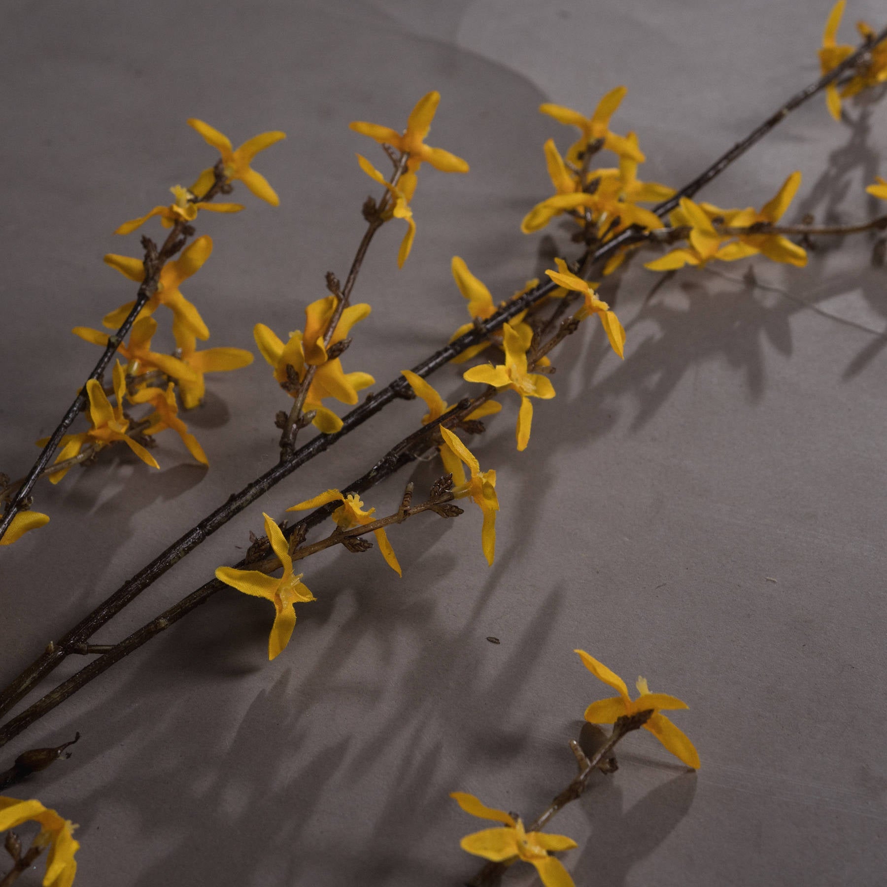 Lifelike Forsythia Branch for Year - Round Blooming Beauty - Darlington's Décor