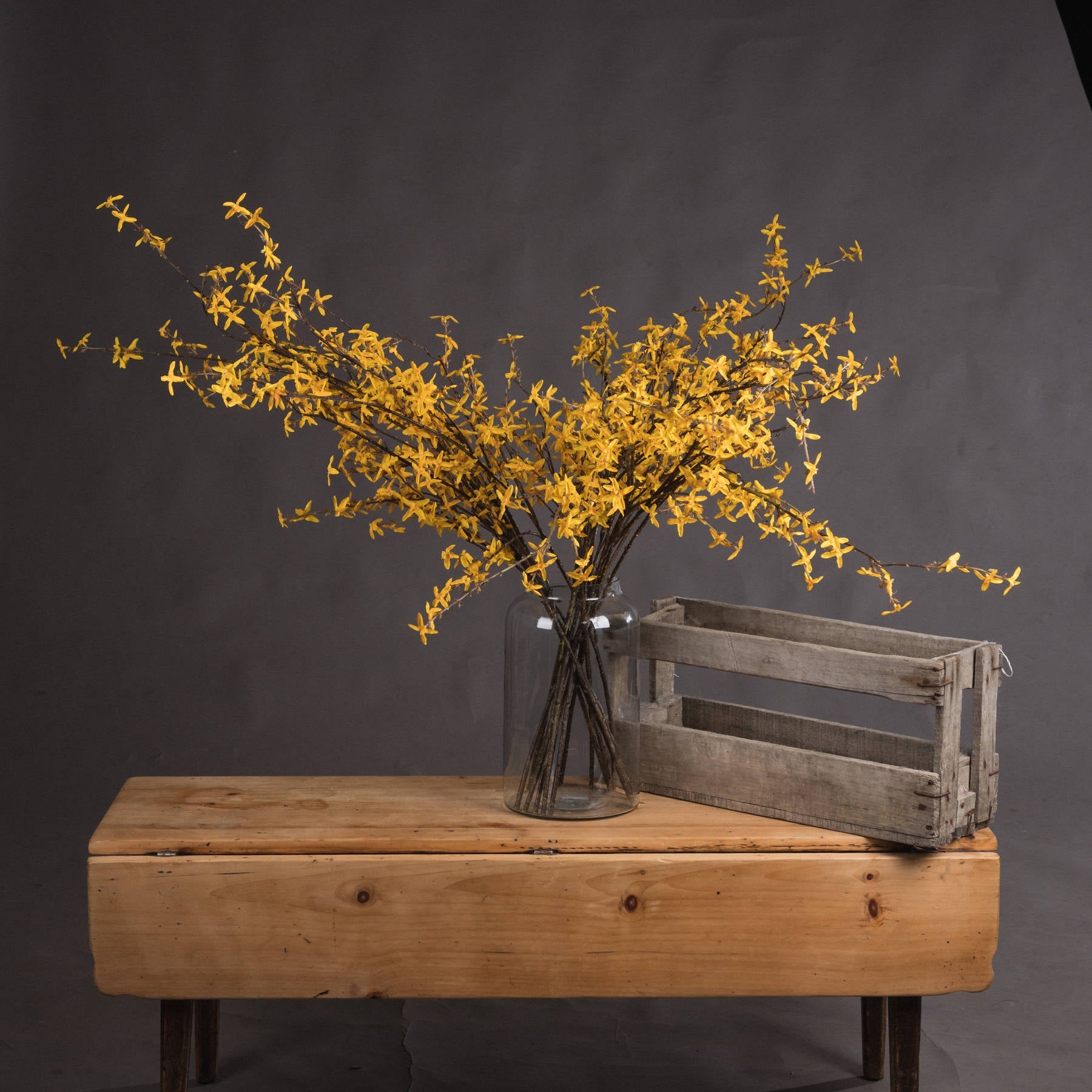 Lifelike Forsythia Branch for Year - Round Blooming Beauty - Darlington's Décor
