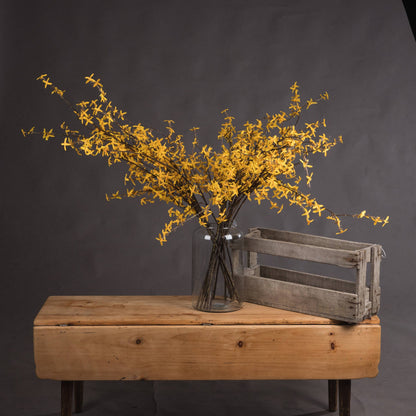 Lifelike Forsythia Branch for Year - Round Blooming Beauty - Darlington's Décor