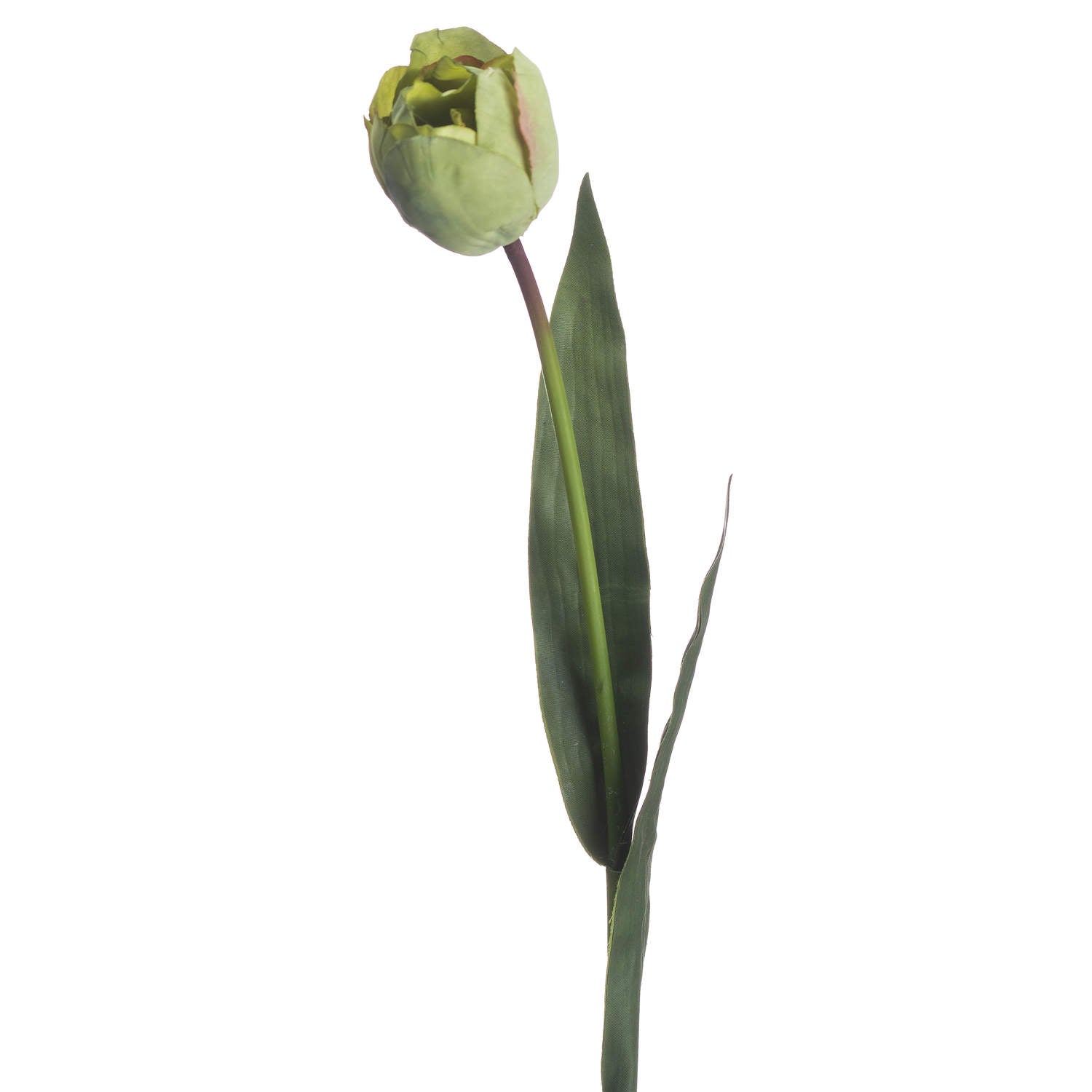 Lifelike Green Tulip for Year - Round Floral Arrangements - Darlington's Décor