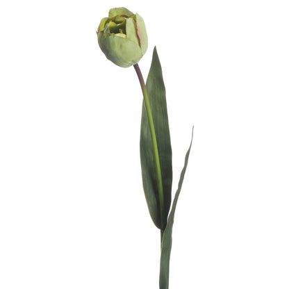 Lifelike Green Tulip for Year - Round Floral Arrangements - Darlington's Décor