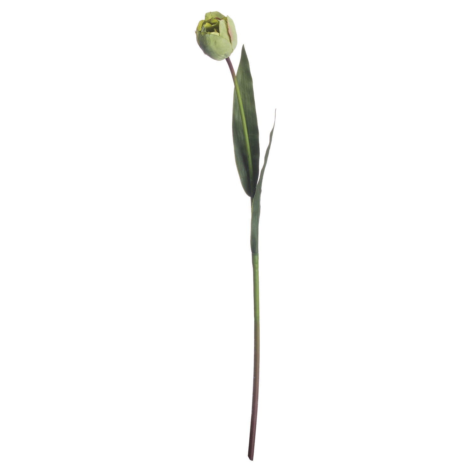 Lifelike Green Tulip for Year - Round Floral Arrangements - Darlington's Décor