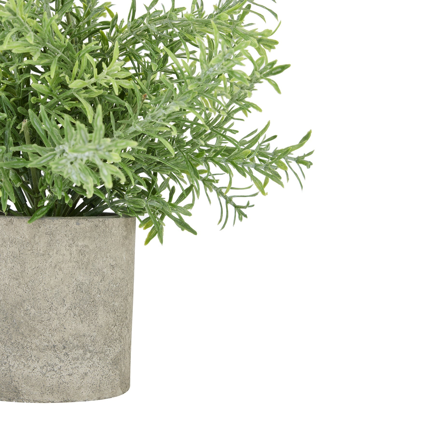 Lifelike Rosemary Plant In Stone Effect Pot - Darlington's Décor
