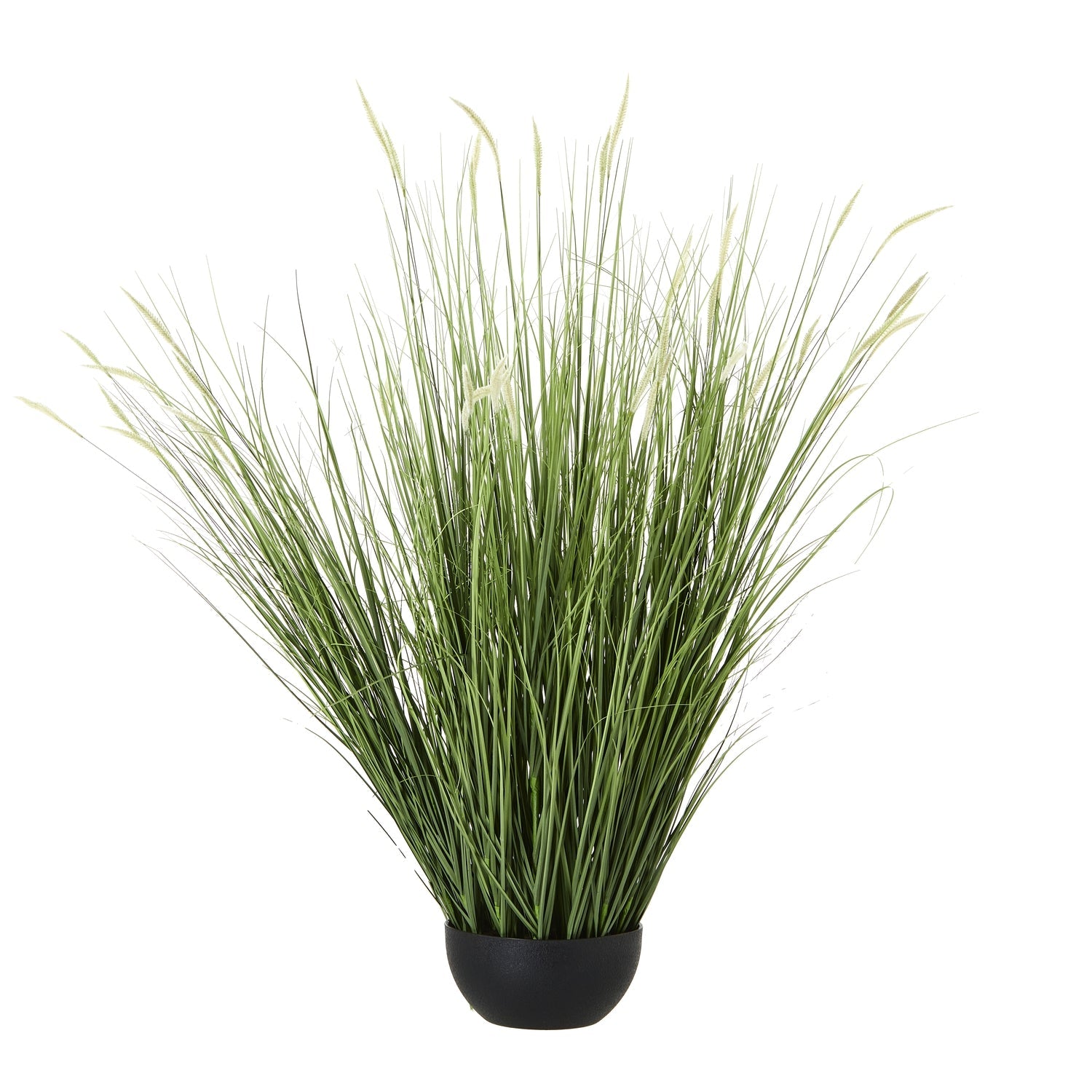 Lush Large Onion Grass Plant In Pot For Elegant Spaces - Darlington's Décor