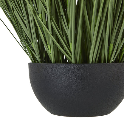 Lush Large Onion Grass Plant In Pot For Elegant Spaces - Darlington's Décor