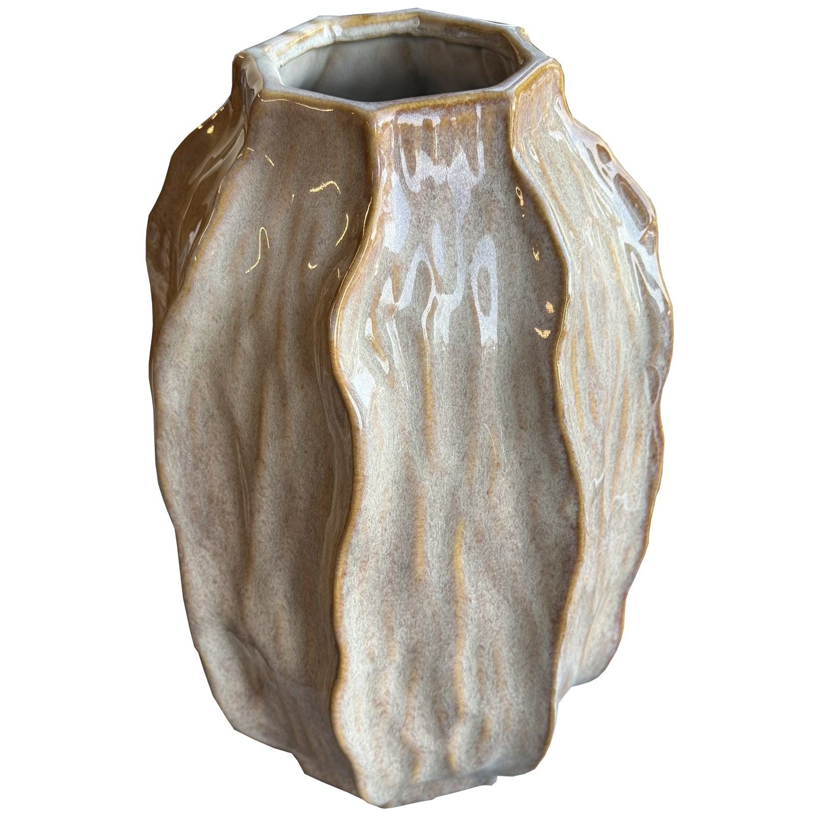 Sabbia Collection Tall Seed Pod Vase for Elegant Displays - Darlington's Décor