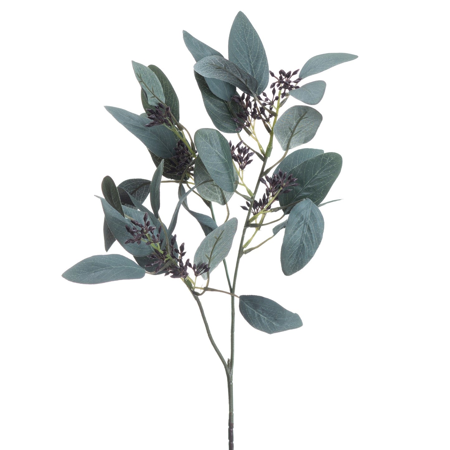 Seeded Eucalyptus Stem for Lush Botanical Decor - Darlington's Décor