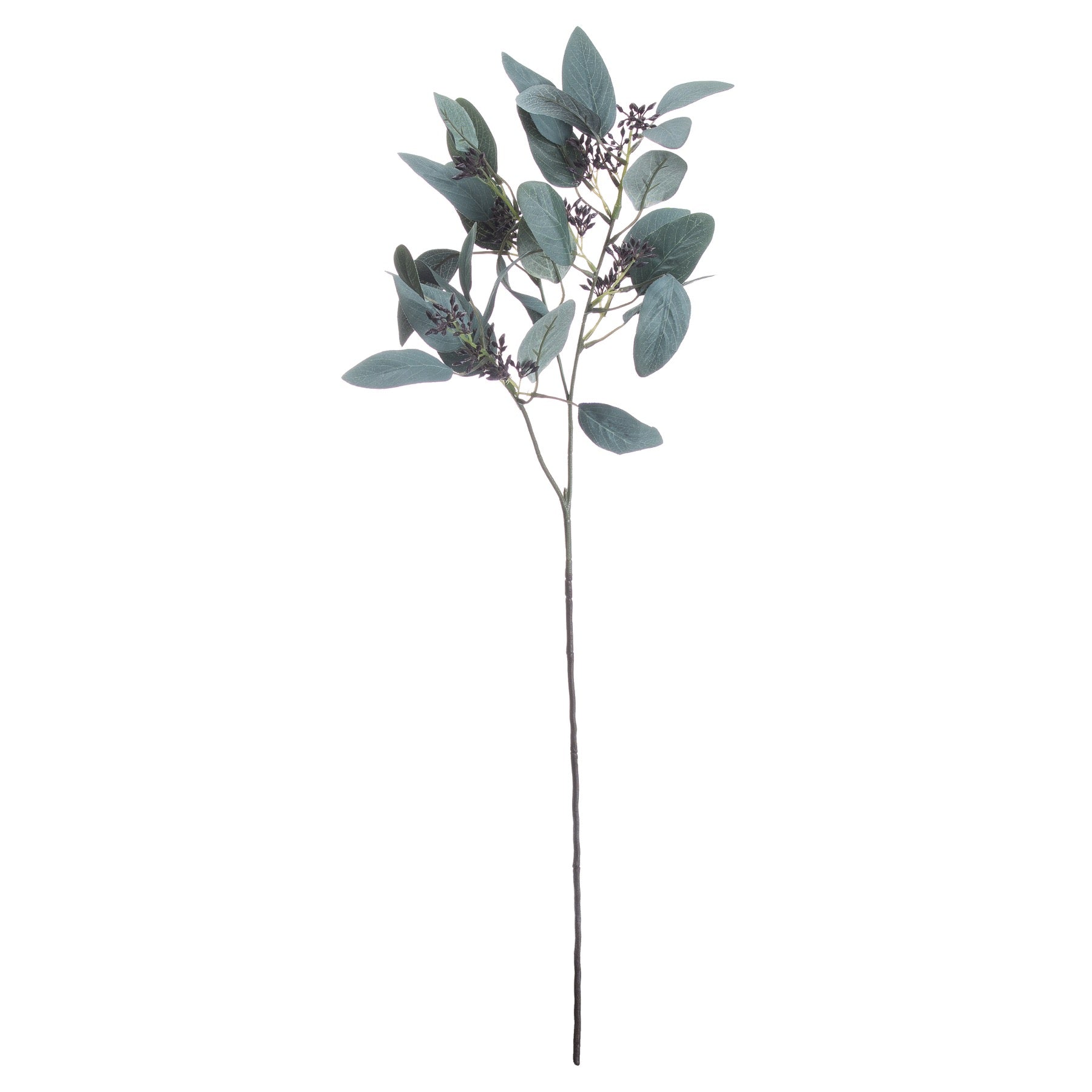 Seeded Eucalyptus Stem for Lush Botanical Decor - Darlington's Décor