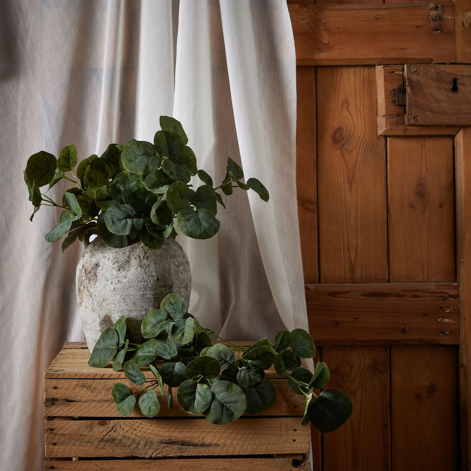 Short Eucalyptus Bunch for Elegant Home Decor - Darlington's Décor