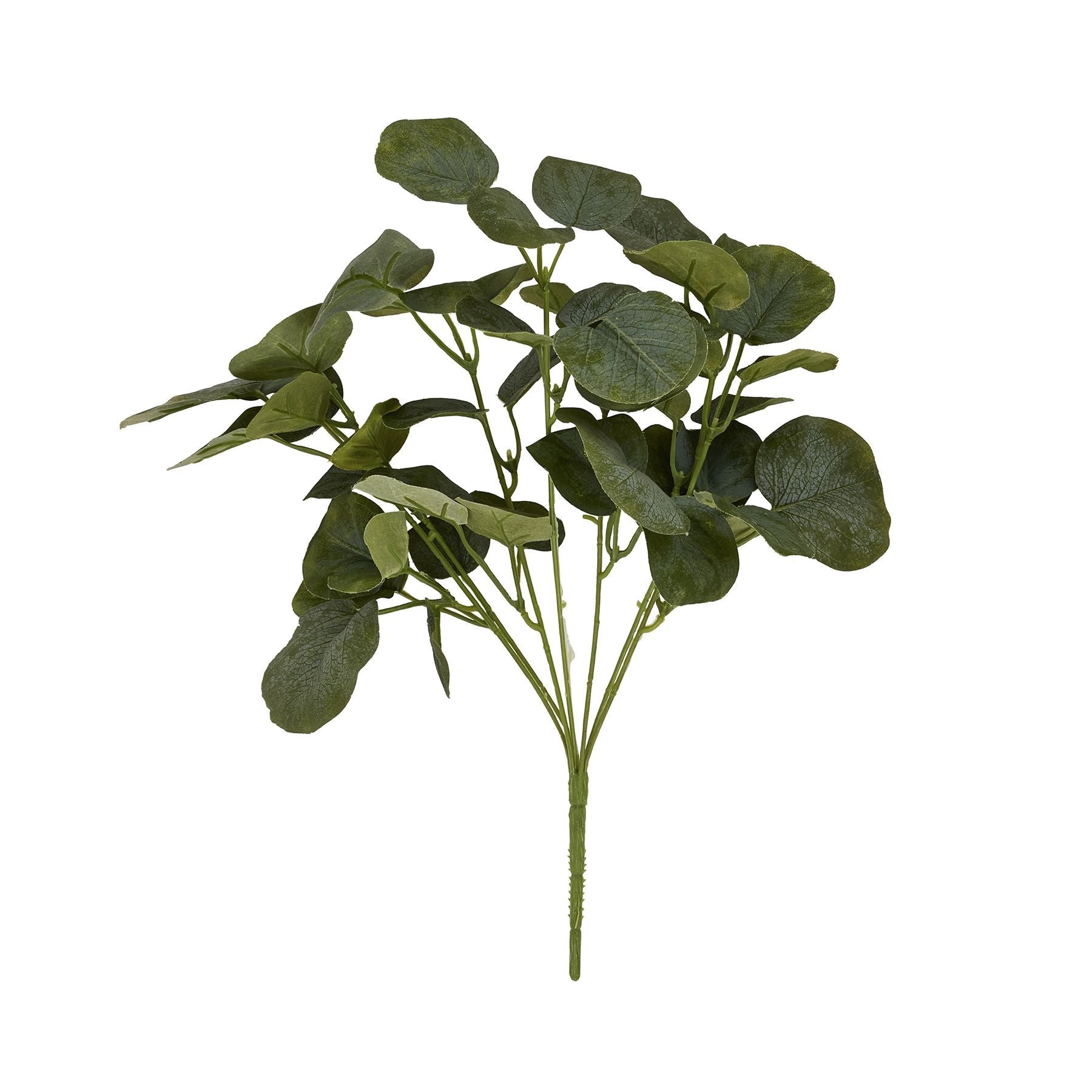 Short Eucalyptus Bunch for Elegant Home Decor - Darlington's Décor