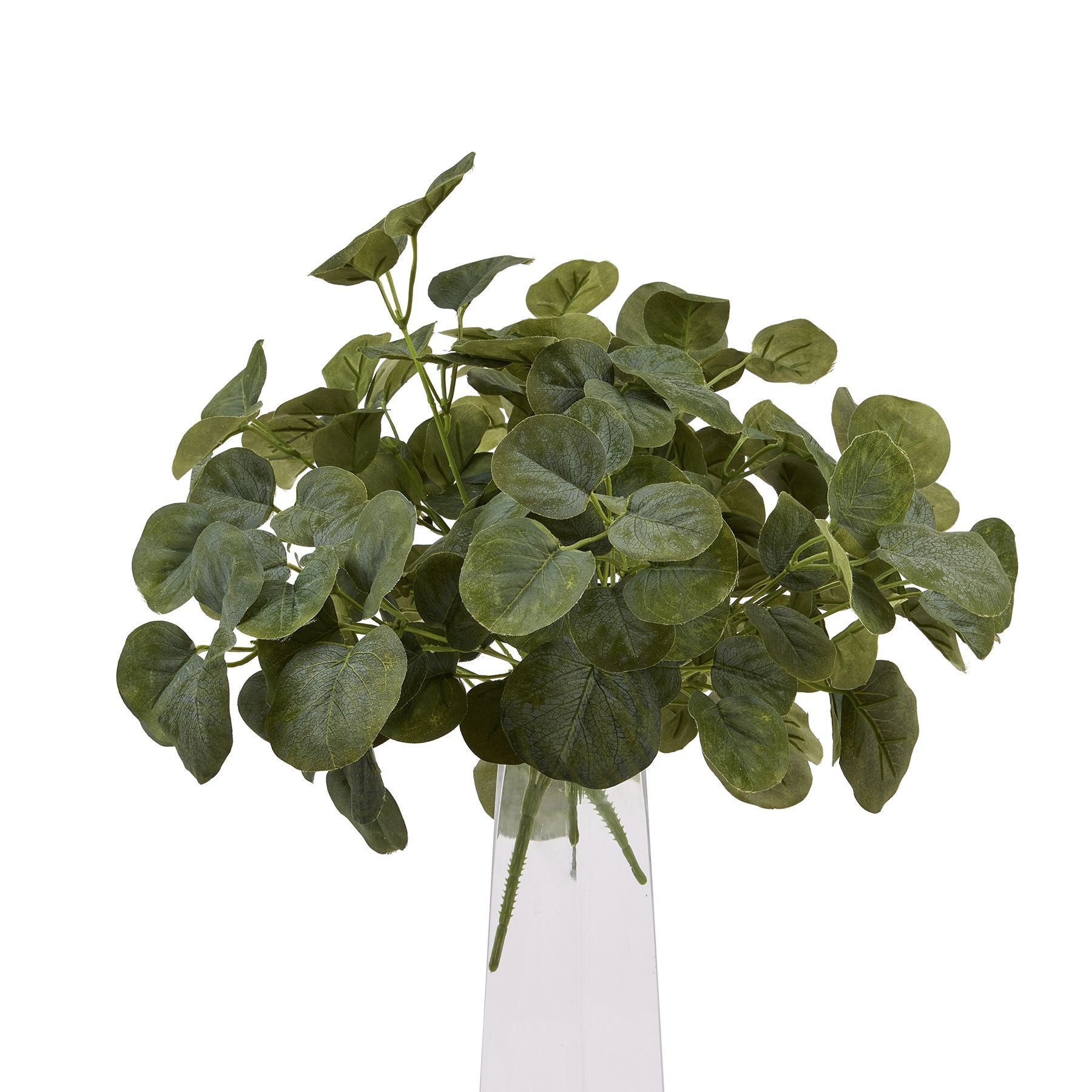 Short Eucalyptus Bunch for Elegant Home Decor - Darlington's Décor