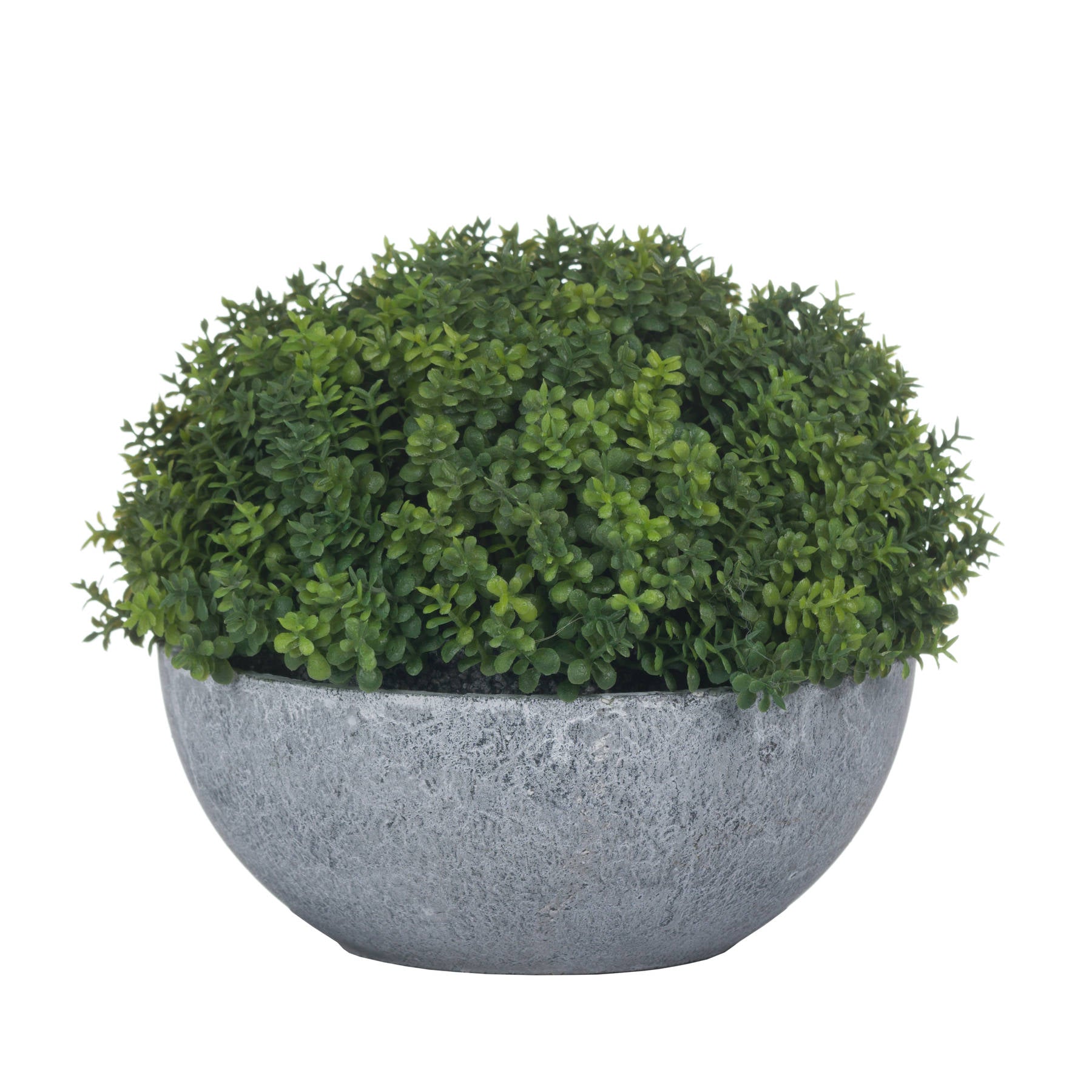 Small Hebe Globe Pot for Effortless Indoor Elegance - Darlington's Décor