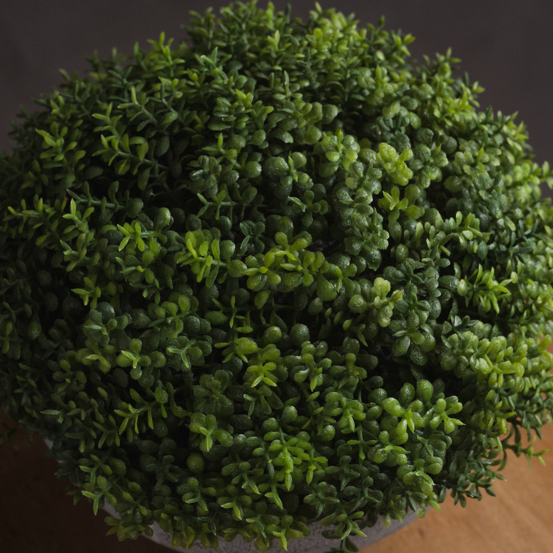 Small Hebe Globe Pot for Effortless Indoor Elegance - Darlington's Décor