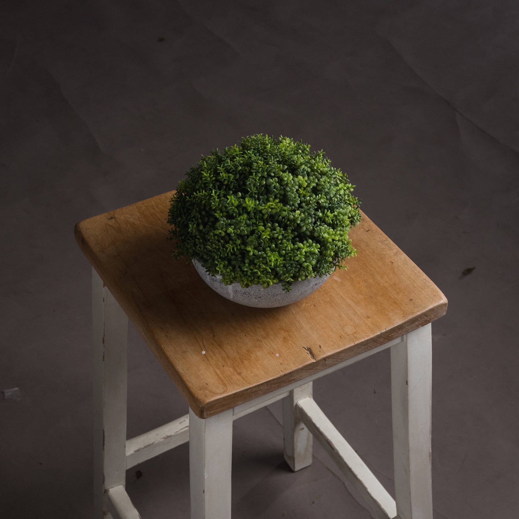 Small Hebe Globe Pot for Effortless Indoor Elegance - Darlington's Décor