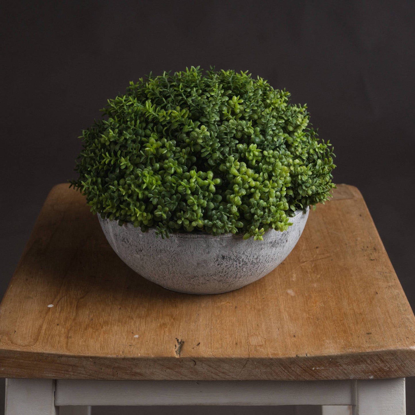 Small Hebe Globe Pot for Effortless Indoor Elegance - Darlington's Décor