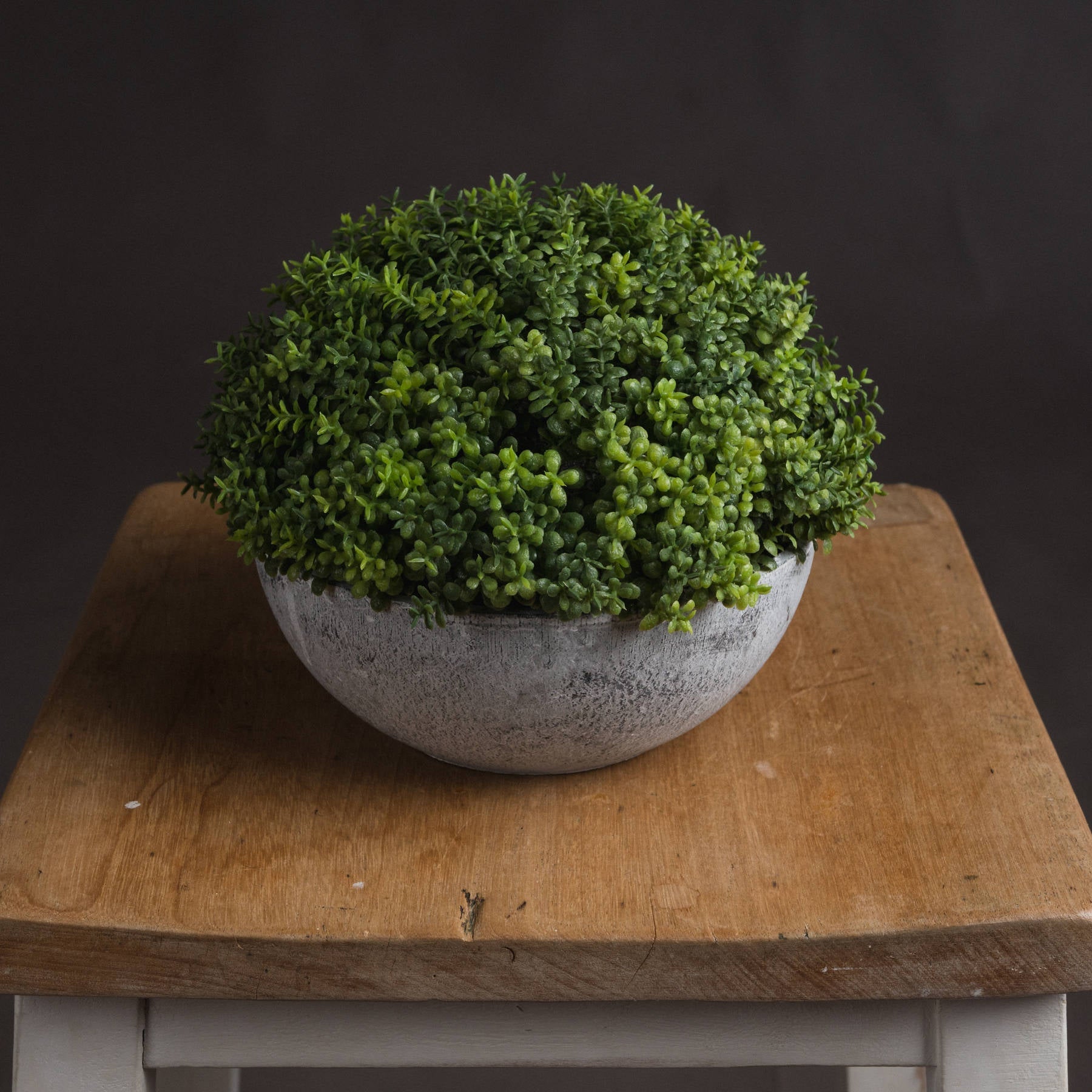 Small Hebe Globe Pot for Effortless Indoor Elegance - Darlington's Décor