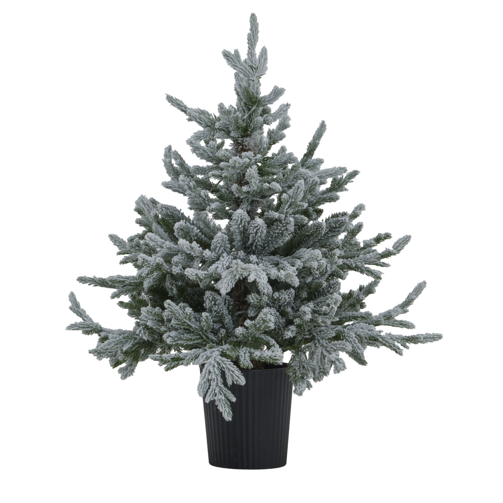Snowy Forest Fir Pre - Lit LED 300L Christmas Tree In Pot - Darlington's Décor