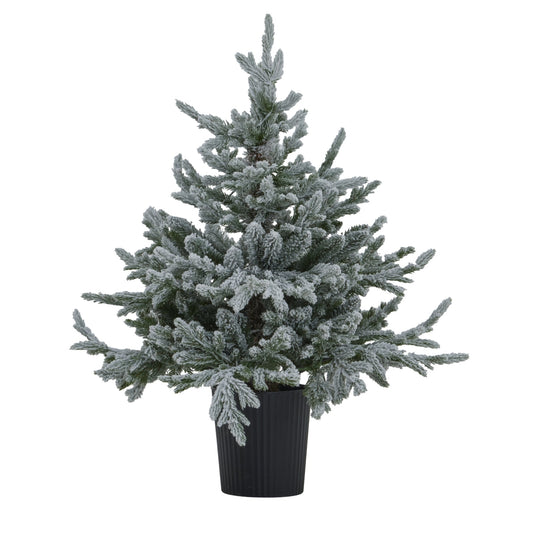 Snowy Forest Fir Pre - Lit LED 300L Christmas Tree In Pot - Darlington's Décor