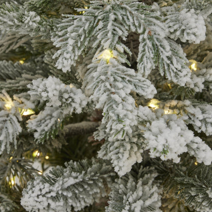 Snowy Forest Fir Pre - Lit LED 300L Christmas Tree In Pot - Darlington's Décor