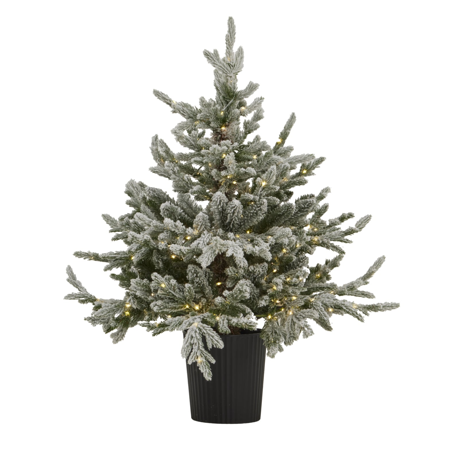 Snowy Forest Fir Pre - Lit LED 300L Christmas Tree In Pot - Darlington's Décor