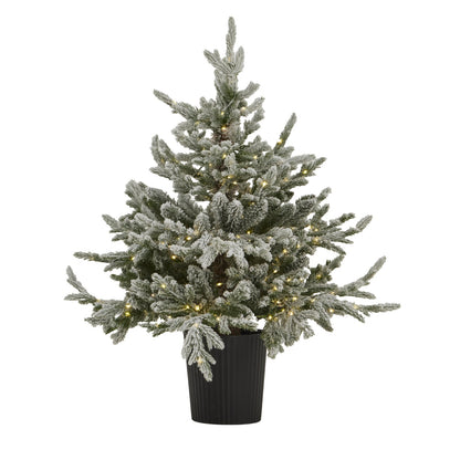 Snowy Forest Fir Pre - Lit LED 300L Christmas Tree In Pot - Darlington's Décor
