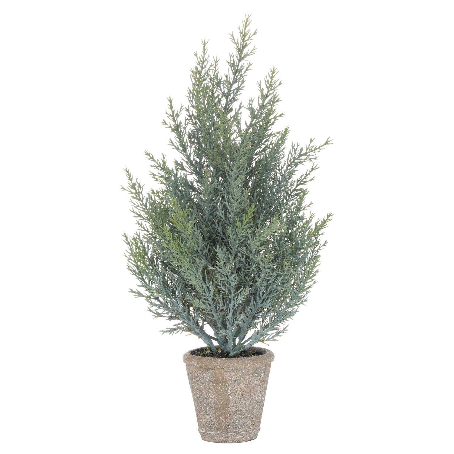 Squat Fir Tree In Stone Pot for Timeless Décor - Darlington's Décor