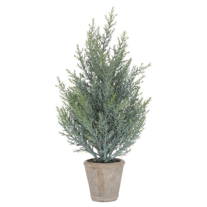 Squat Fir Tree In Stone Pot for Timeless Décor - Darlington's Décor