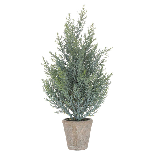 Squat Fir Tree In Stone Pot for Timeless Décor - Darlington's Décor