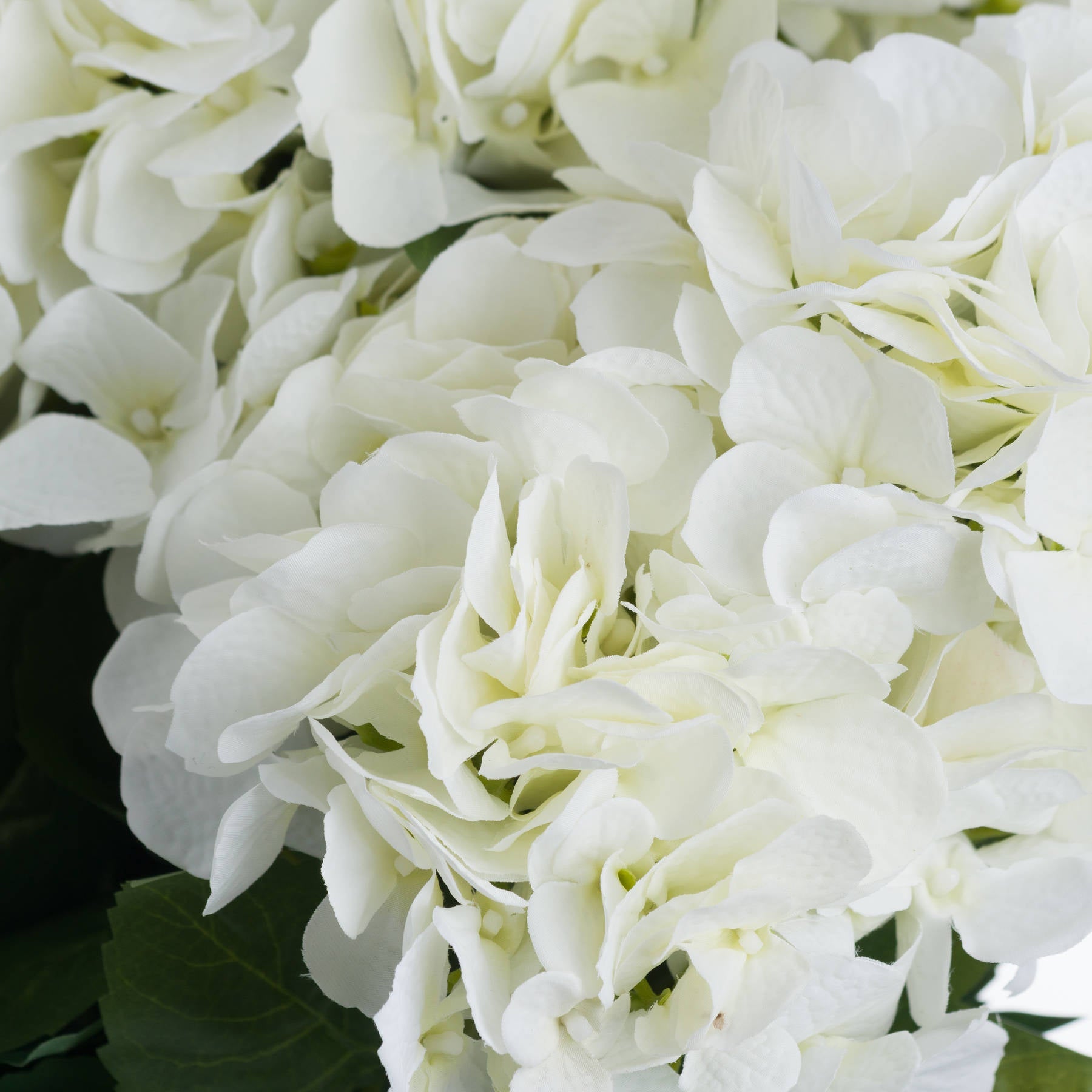 Stunning White Hydrangea Bouquet for Timeless Elegance - Darlington's Décor