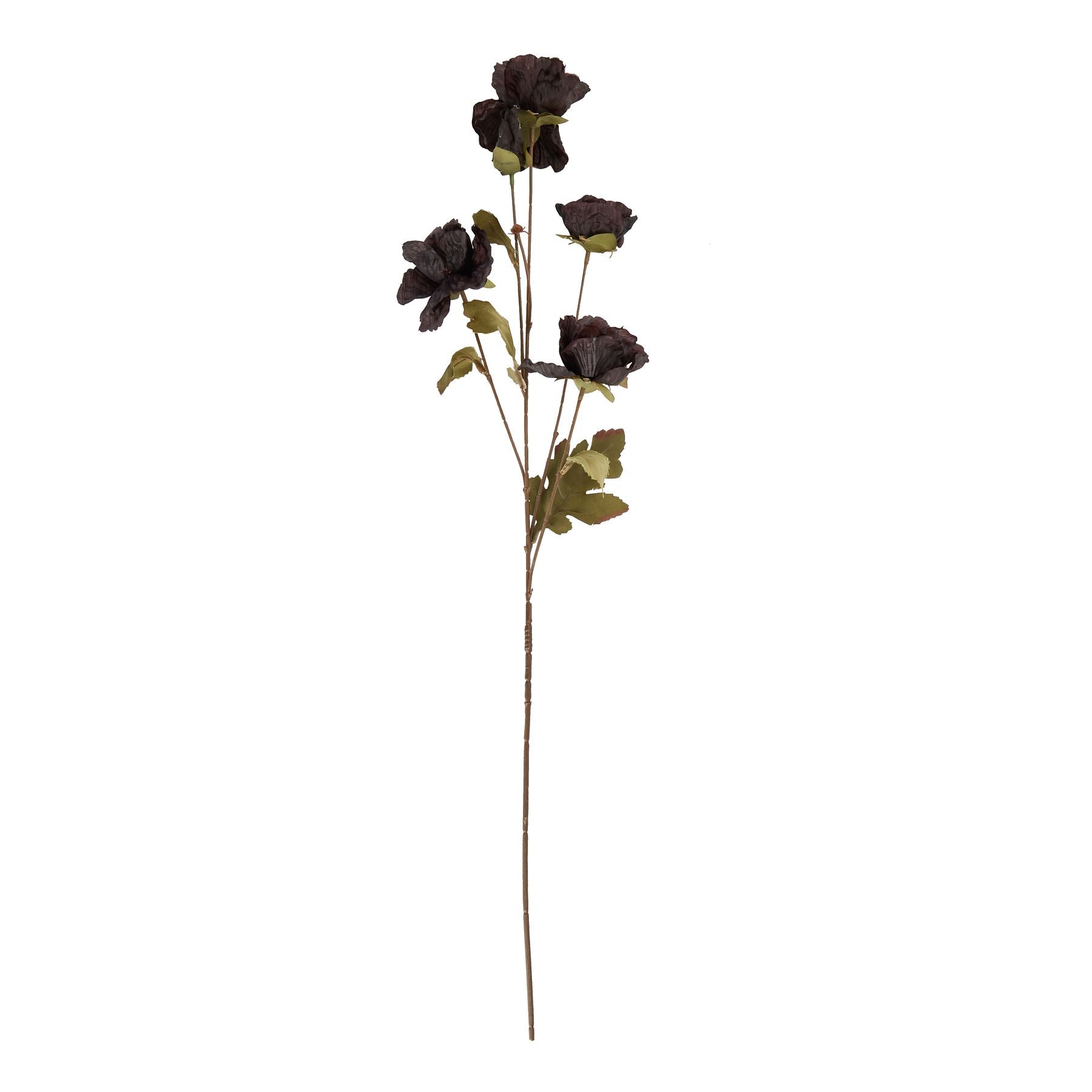 Tall Black Poppy Stem for Bold Floral Arrangements - Darlington's Décor