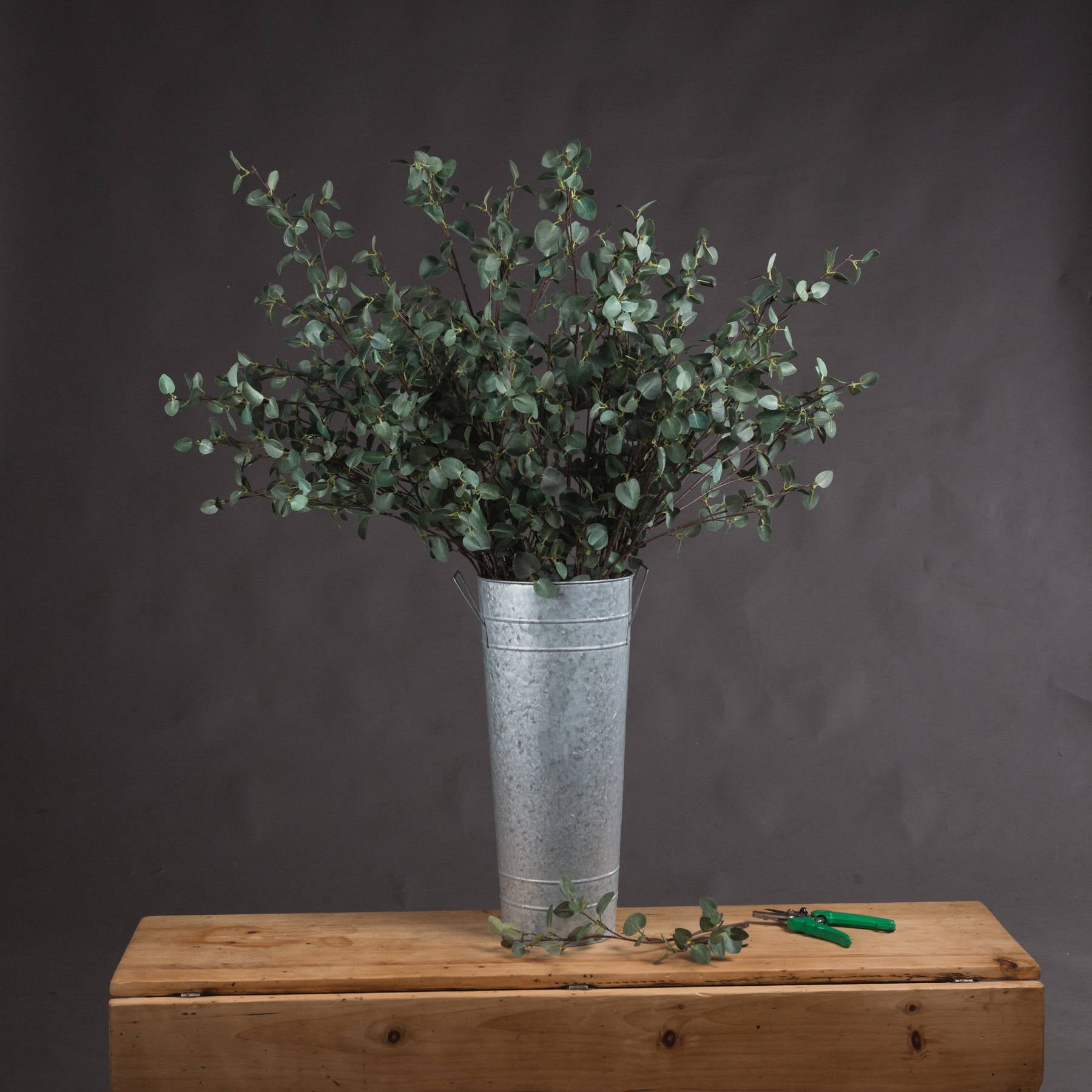 Tall Eucalyptus Stem for Stunning Floral Arrangements - Darlington's Décor