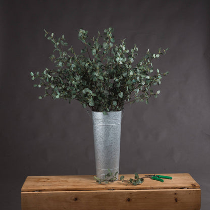 Tall Eucalyptus Stem for Stunning Floral Arrangements - Darlington's Décor