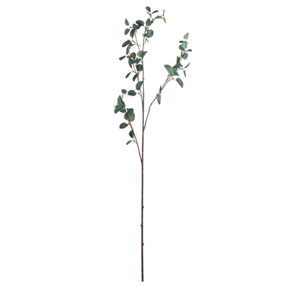 Tall Eucalyptus Stem for Stunning Floral Arrangements - Darlington's Décor
