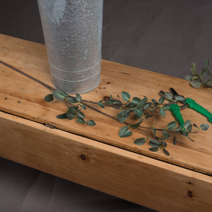 Tall Eucalyptus Stem for Stunning Floral Arrangements - Darlington's Décor