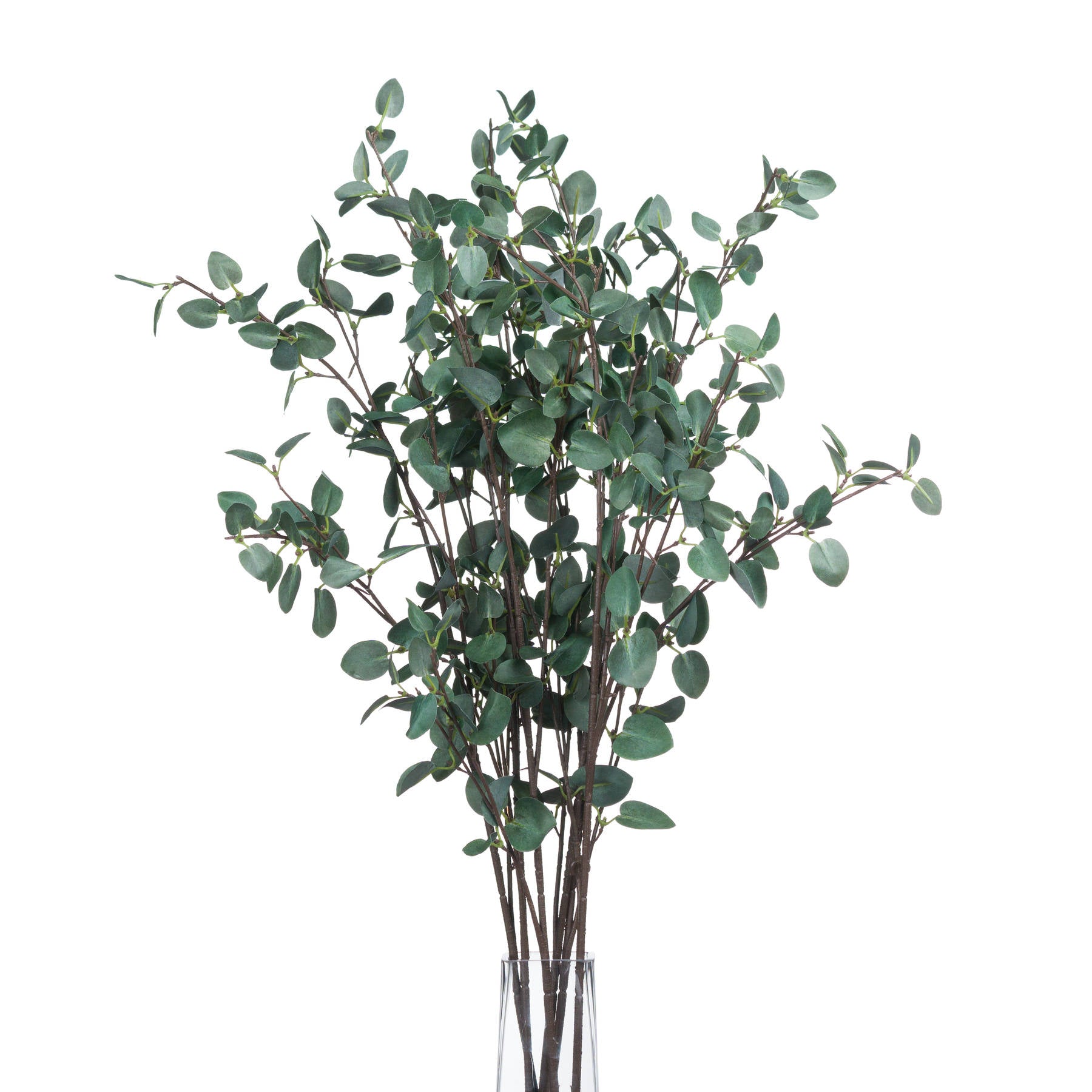 Tall Eucalyptus Stem for Stunning Floral Arrangements - Darlington's Décor