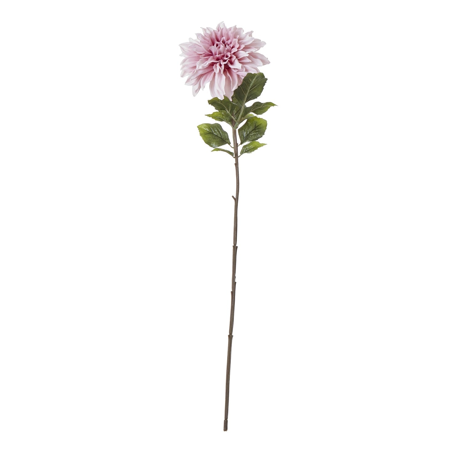 The Natural Garden Collection Pink Dahlia - Realistic Elegance - Darlington's Décor