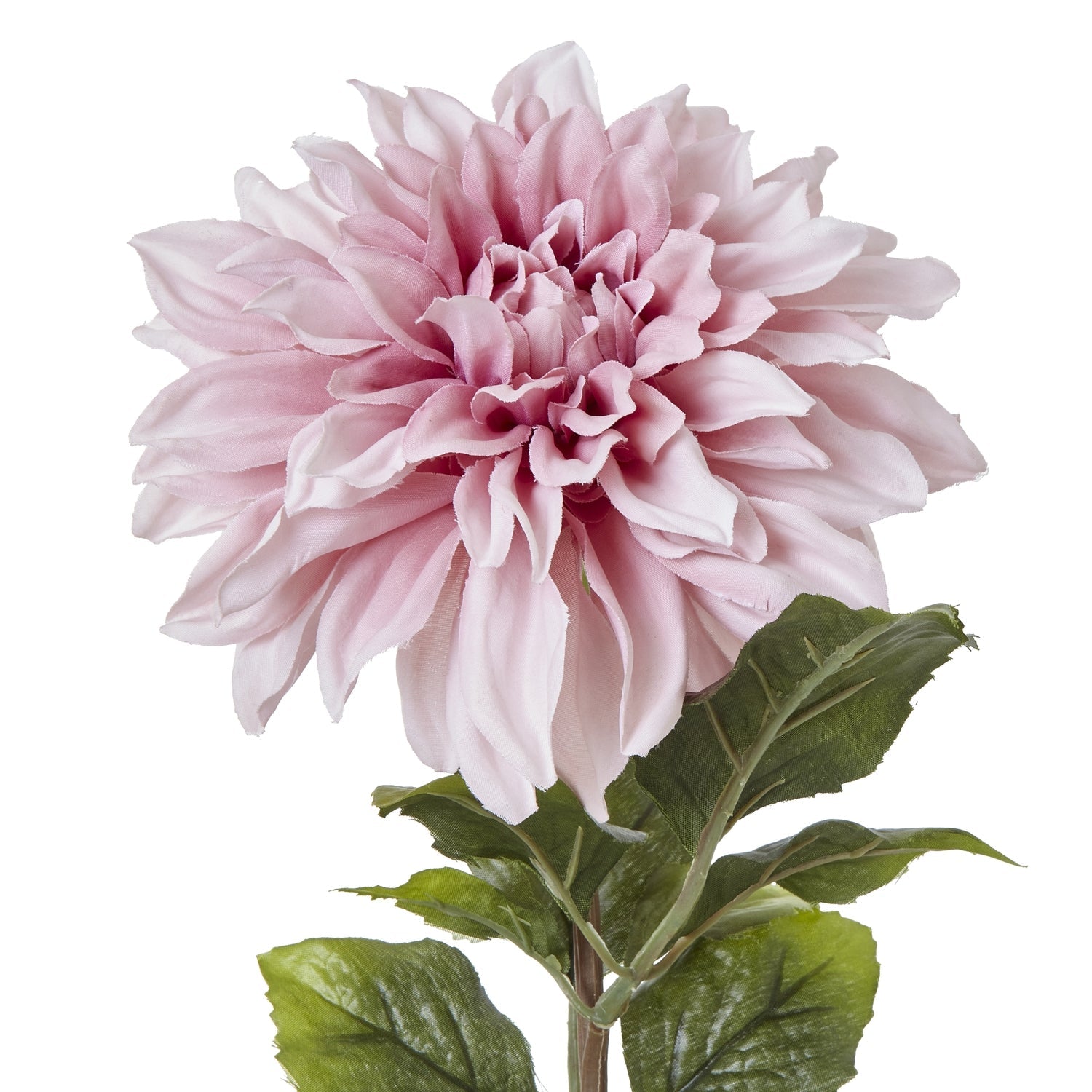 The Natural Garden Collection Pink Dahlia - Realistic Elegance - Darlington's Décor