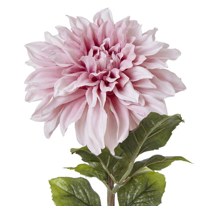 The Natural Garden Collection Pink Dahlia - Realistic Elegance - Darlington's Décor
