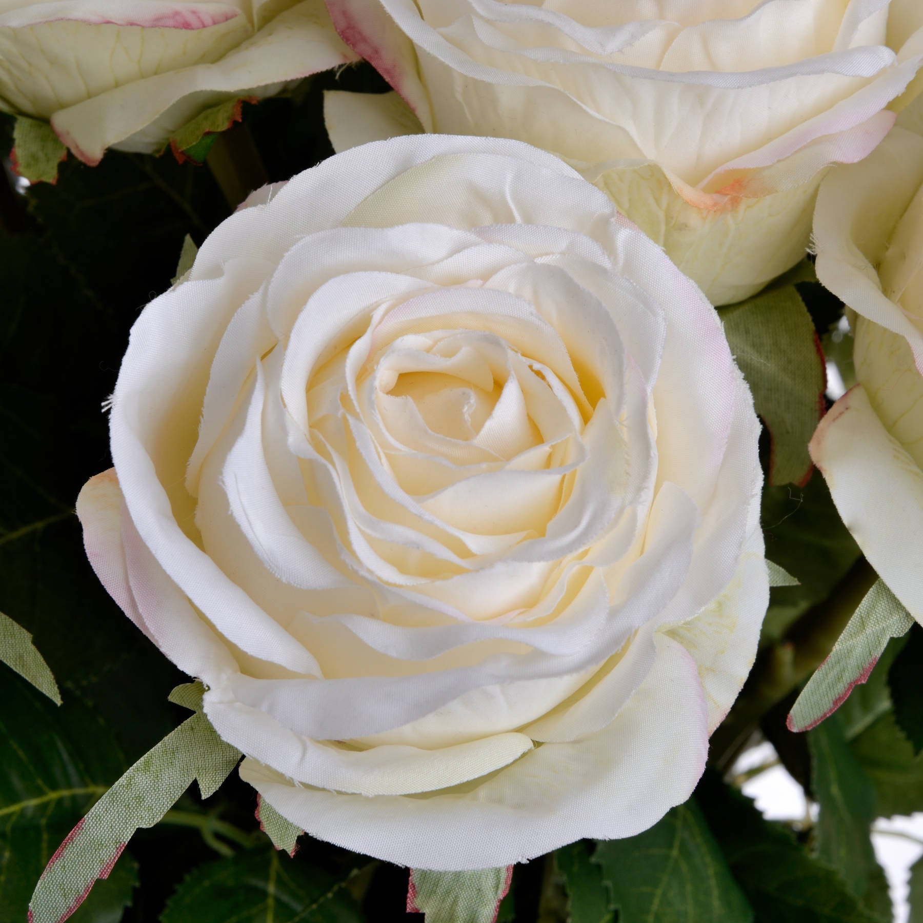 Traditional White Rose: Timeless Elegance for Any Decor - Darlington's Décor