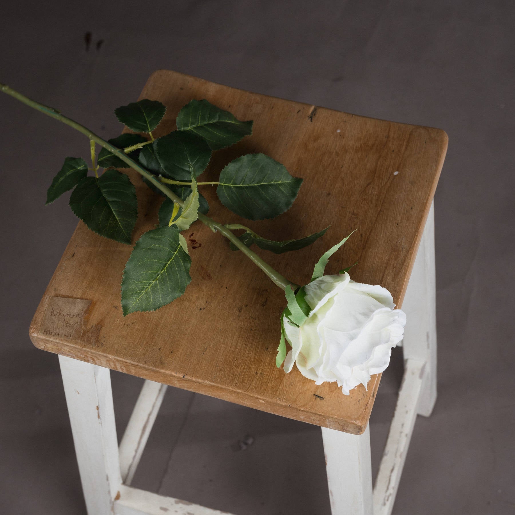 Traditional White Rose: Timeless Elegance for Any Decor - Darlington's Décor